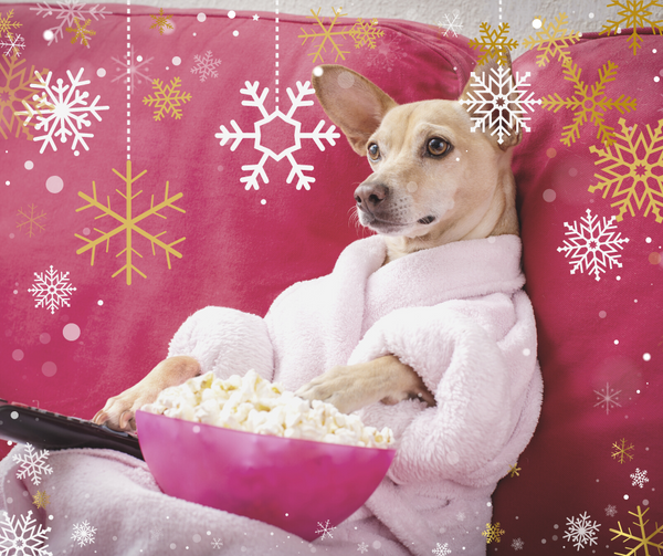 5 Christmas Movies to Watch with Your Dog