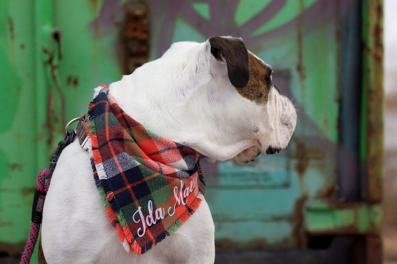 Personalized Flannel Dog Bandana
