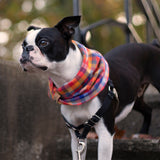 Bright Plaid Flannel Infinity Dog Scarf