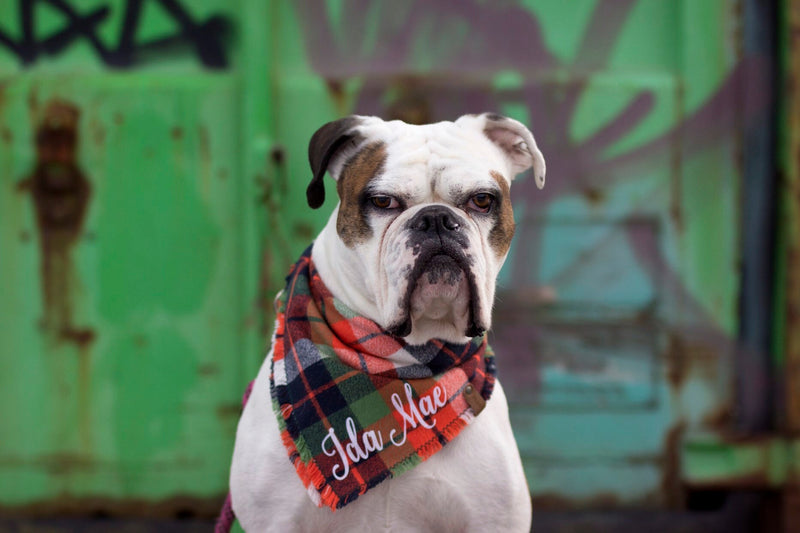 Personalized Flannel Dog Bandana