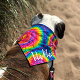 Rainbow Tie Dye Dog Bandana