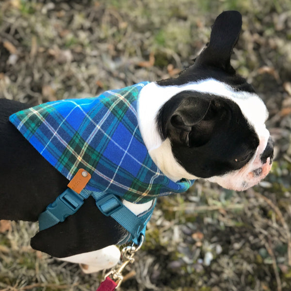 Nova Scotia Tartan Doggy Bandana