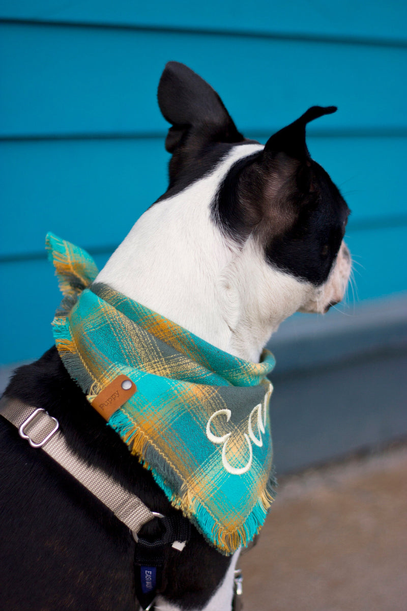 Autumn Flannel Dog Bandana