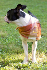 Autumn Plaid Flannel Dog Bandana