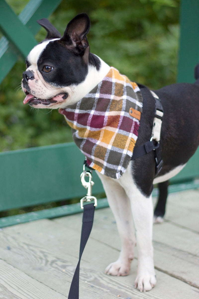 Fall Flannel Dog Bandanas