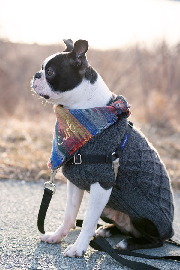 Dog Aztec Bandana