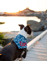 Nautical Navy Dog Bandana