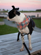 Sunset Plaid Flannel Infinity Dog Scarf