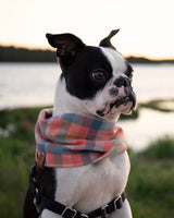 Sunset Plaid Flannel Infinity Dog Scarf