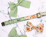 Natural Green Floral Dog Collar