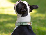 Natural Green Floral Dog Collar