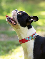 Personalized Mom Dog Collar