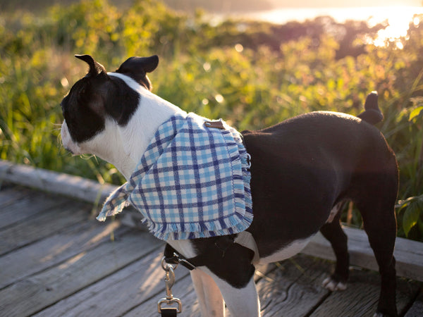 Blue Plaid Flannel Pet Bandannas