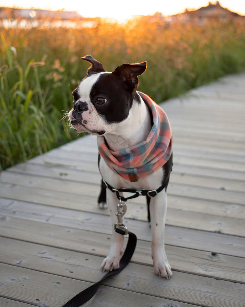 Sunset Plaid Flannel Infinity Dog Scarf