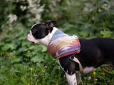Multi-colour Dog Aztec Bandana