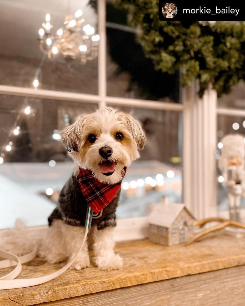 Personalized Royal Stewart Flannel Dog Bandana