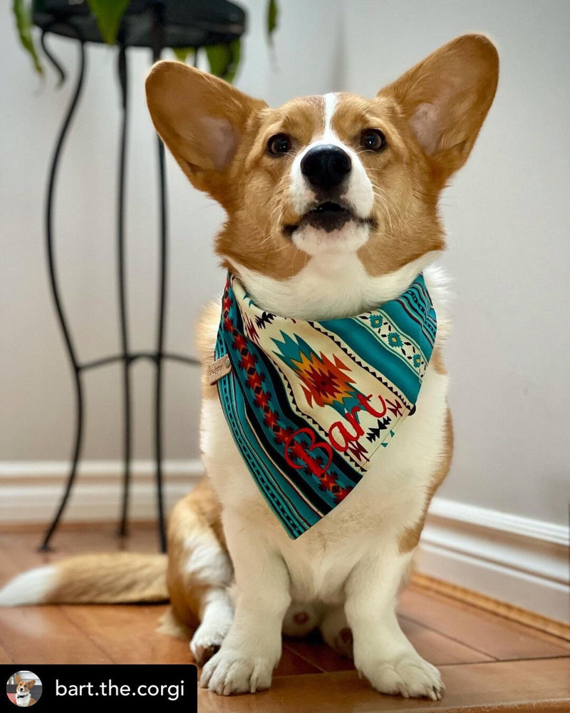 Personalized Teal Aztec Dog Bandana