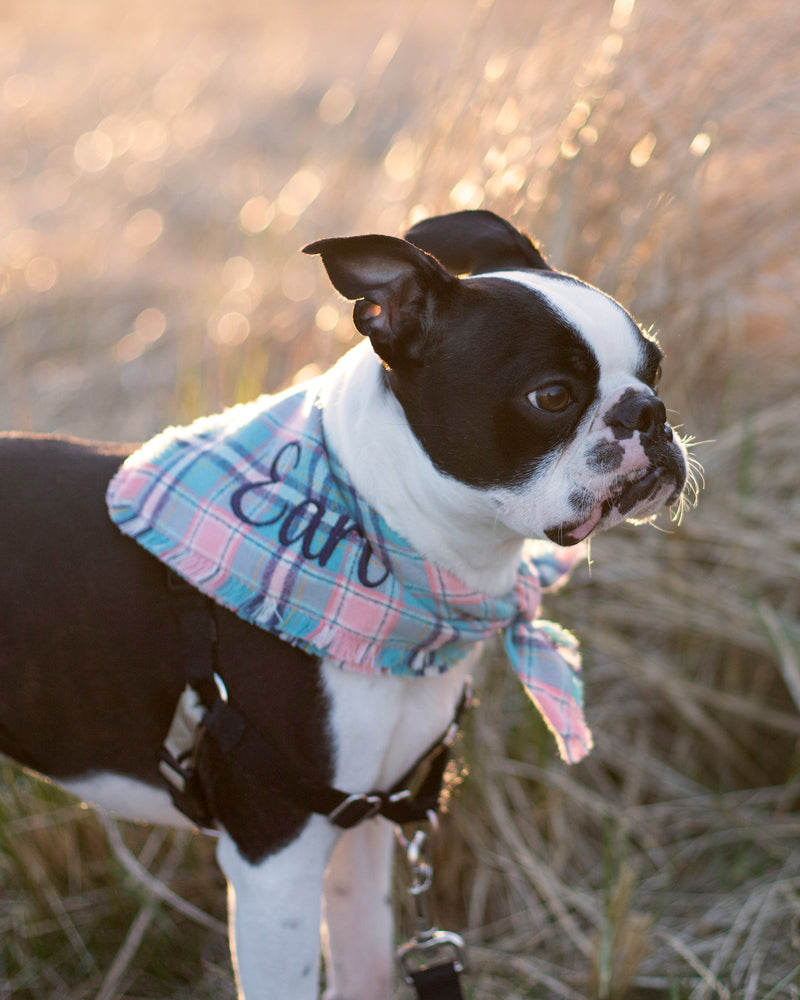 Blue Pink Blush Navy Flannel Pet Bandannas