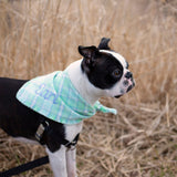 Easter Plaid Dog Scarf