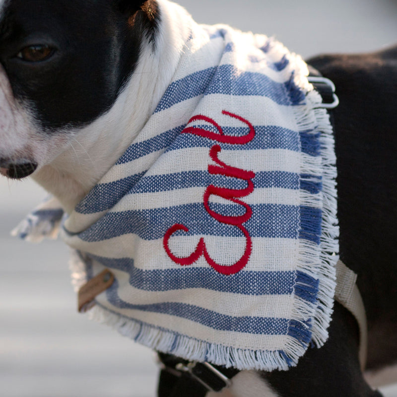 Beach Blue Dog Bandana