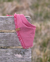 Red Gingham Dog Bandana