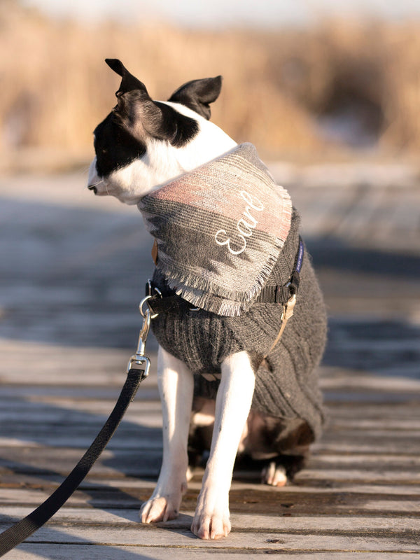 Dog Aztec Bandana