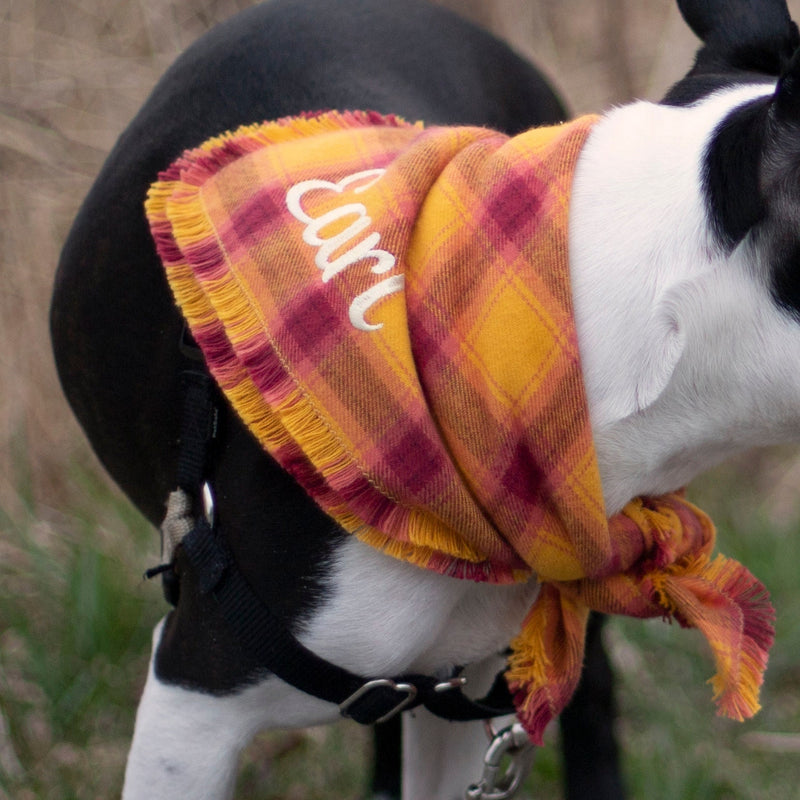 Bright Plaid Dog Scarf