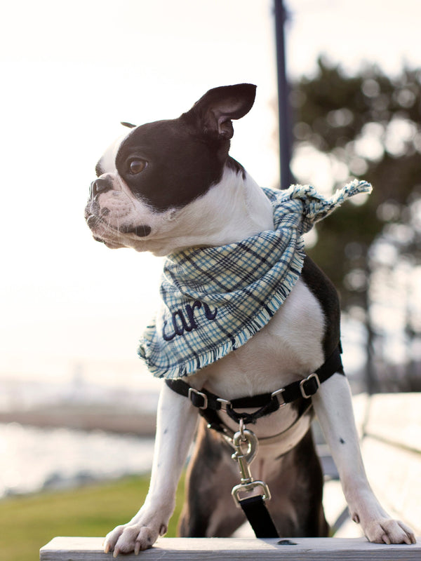 Cream Navy Blue Plaid Dog Scarf