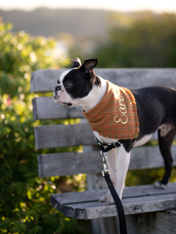 Classic Autumn Flannel Dog Bandana