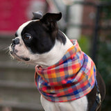 Bright Plaid Flannel Infinity Dog Scarf