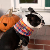 Bright Plaid Flannel Infinity Dog Scarf