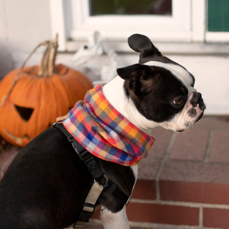 Bright Plaid Flannel Infinity Dog Scarf