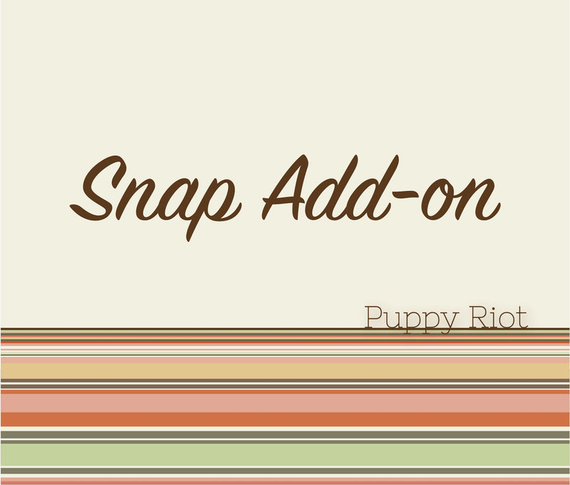 Snap Add-On