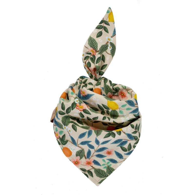 Citrus Floral Dog Bandana