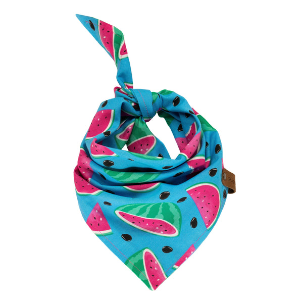 Watermelon Dog Bandana