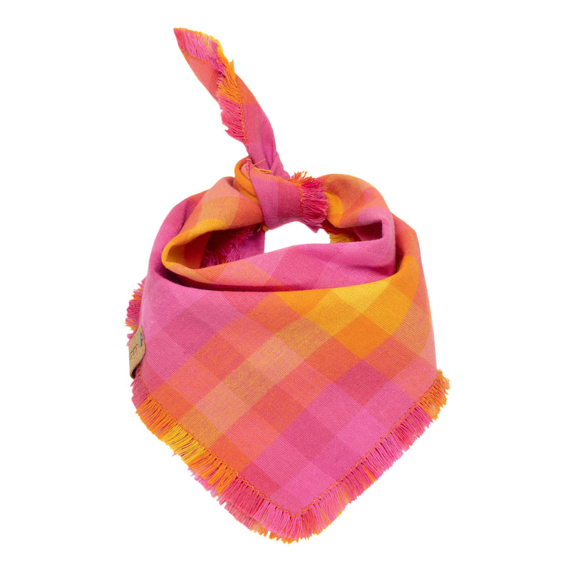 Pink Ombre Dog Scarf