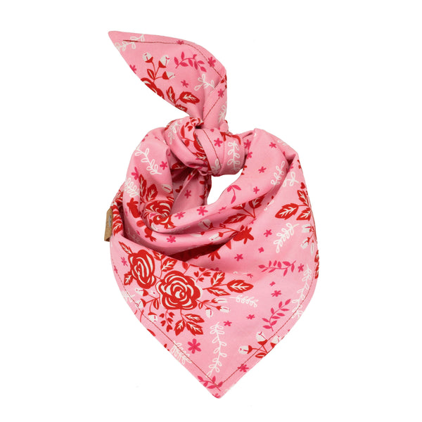 Valentine's Floral Puppy Scarf