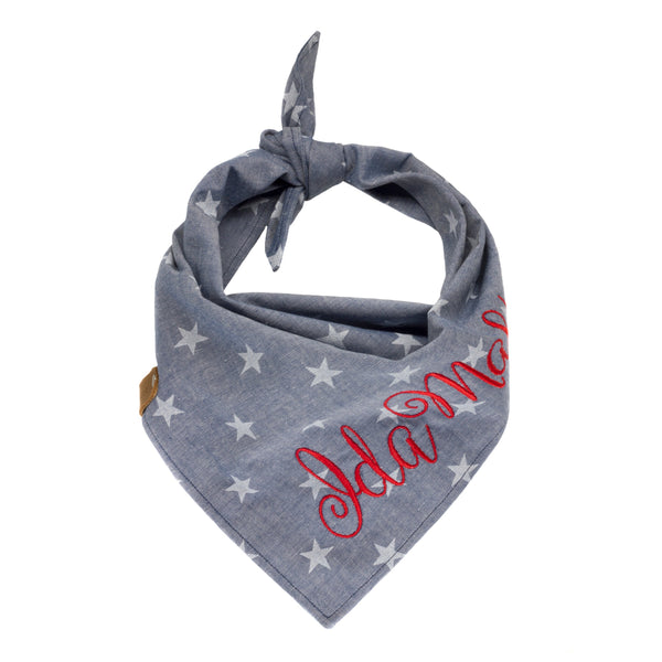 Denim Chambray Stars Puppy Scarf