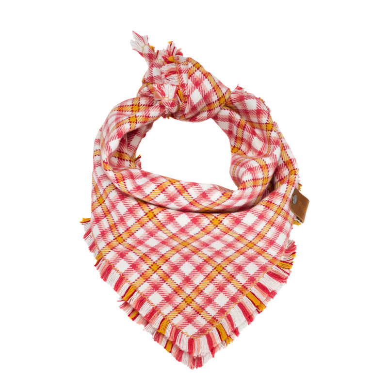 Easter Flannel Dog Scarf